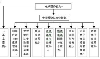 电子商务专业的岗位