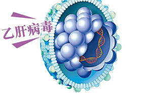 柚子皮泡水喝治疗乙肝，一个值得质疑的民间偏方