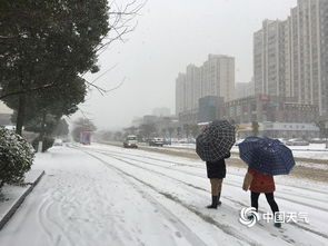 日本北部多地大雪持续