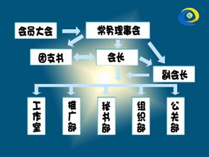 电子商务 专业结构