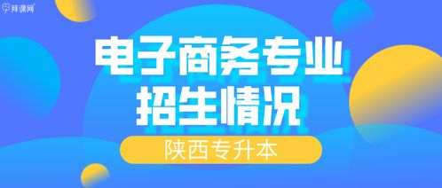 电子商务专升本更换专业