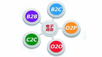 电子商务专业在国内排名