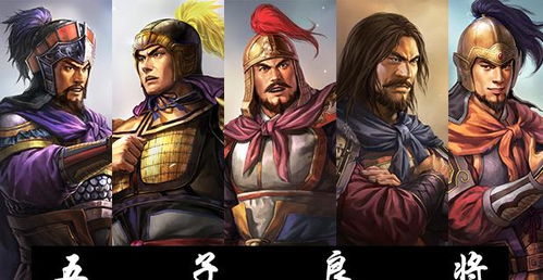 董袭莹的研究领域五花八门