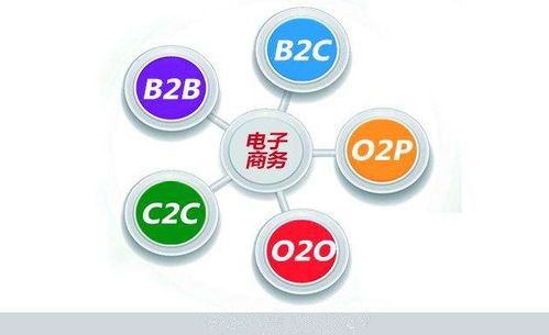 电子商务专业知识表白