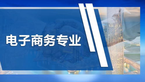 初中电子商务专业技能