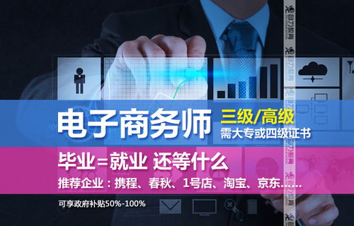 电子商务专业就是it吗