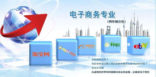 电子商务嵌入式培养专业