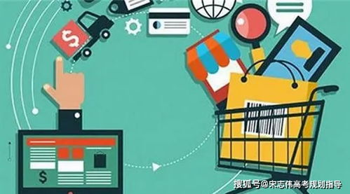 电子商务专业和软件工程