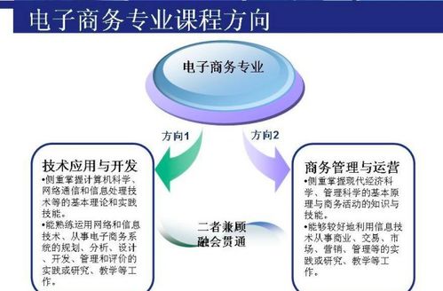 电子商务专业考研需要考什么科目