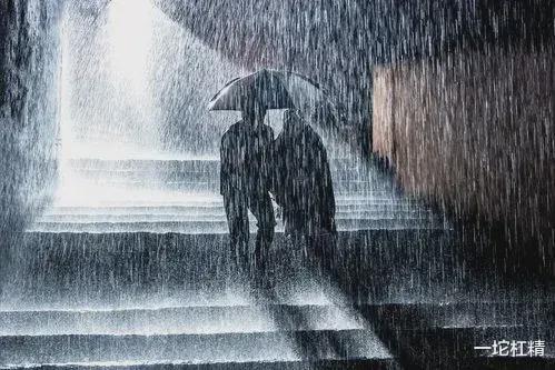 成都暴雨，家中插座竟成瀑布——记一次不平凡的雨夜